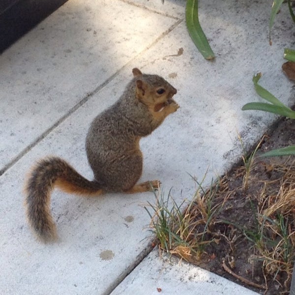 Southern California EdisonGO 3 Rosemead, CA