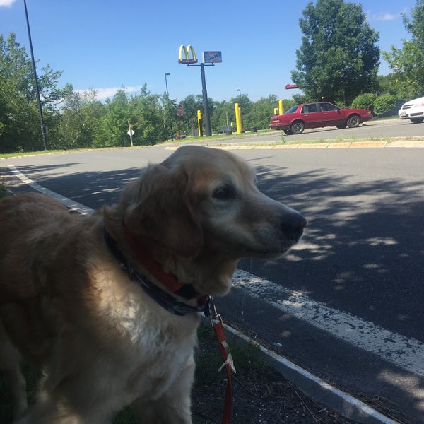 Blandford Service Plaza (Eastbound) Rest Area in Blandford