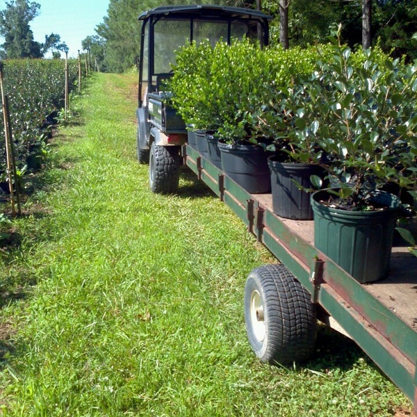 Watson S Nursery Farm In Sanford