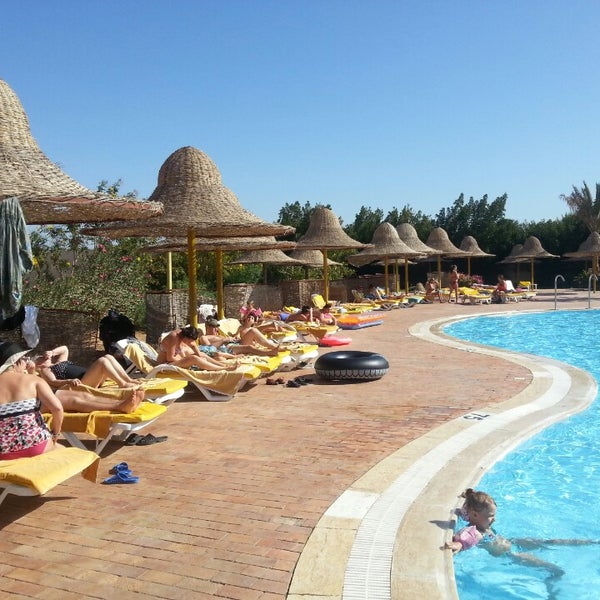 Шарм эль шейх parrotel aqua. Отель parrotel aqua park resort 4. Parrotel lagoon resort 5*. Parrotel aqua park resort 4. Parrotel aqua park resort отзывы 2024.