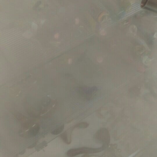 Smokers Den Smoke Shop in Downtown Bloomington