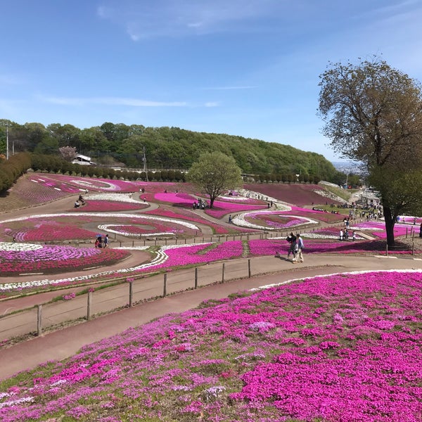 みさと芝桜公園 箕郷町松之沢12 1 みさと芝桜公園 箕郷町松之沢12 1
