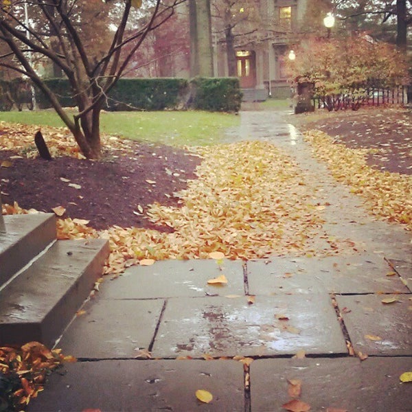 Steinbach Hall Downtown New Haven 52 Hillhouse St