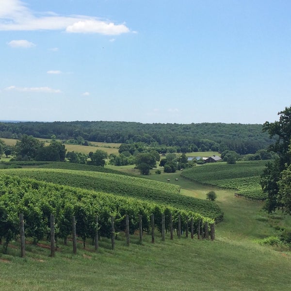 6/26/2015 tarihinde Anne B.ziyaretçi tarafından Trump Winery'de çekilen fotoğraf