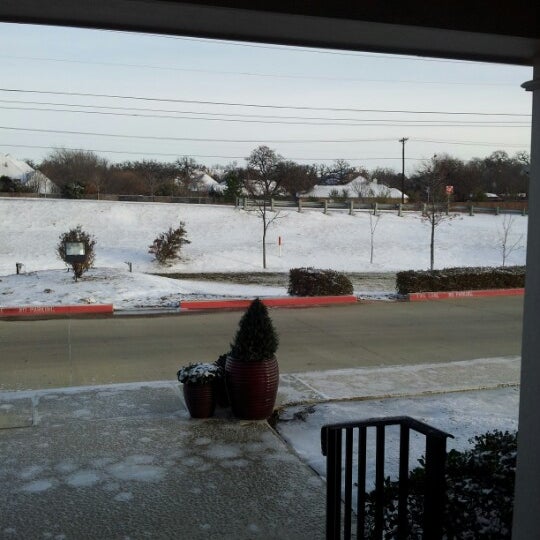 Calloway's Nursery 1 tip from 119 visitors