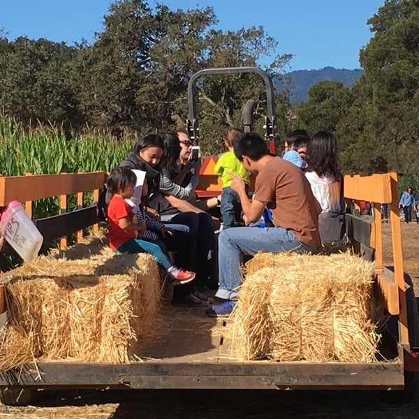 Photos at b Ranch Stables in Menlo Park