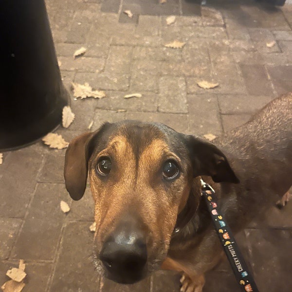 Edgar's Ainslie 1 Edgar St