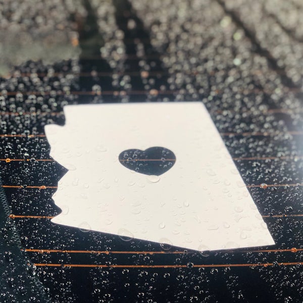 Costco Gasoline Fuel Station in Avondale
