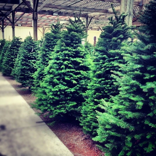 Star Nursery Flower Shop