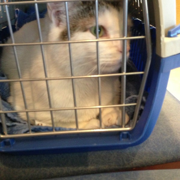 Photo taken at Overland Veterinary Clinic by Steve P. on 2/15/2013