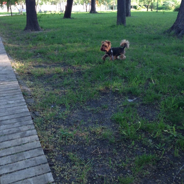 Photo taken at Shevchenko Park by Yelena on 5/12/2013