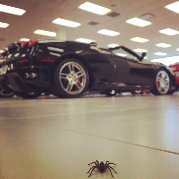 Foreign Cars Italia Greensboro, NC