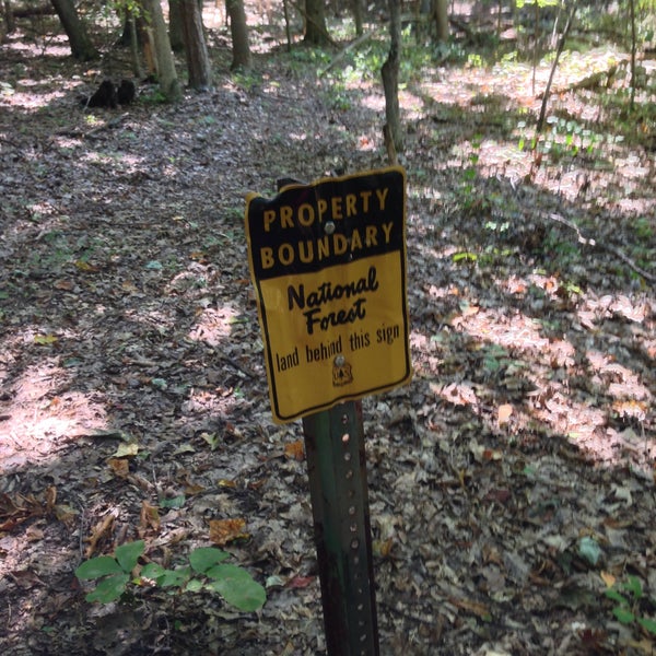 Washington National Forest Forest