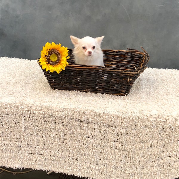 Aveve 3 Tavsiyeda Fotoğraflar