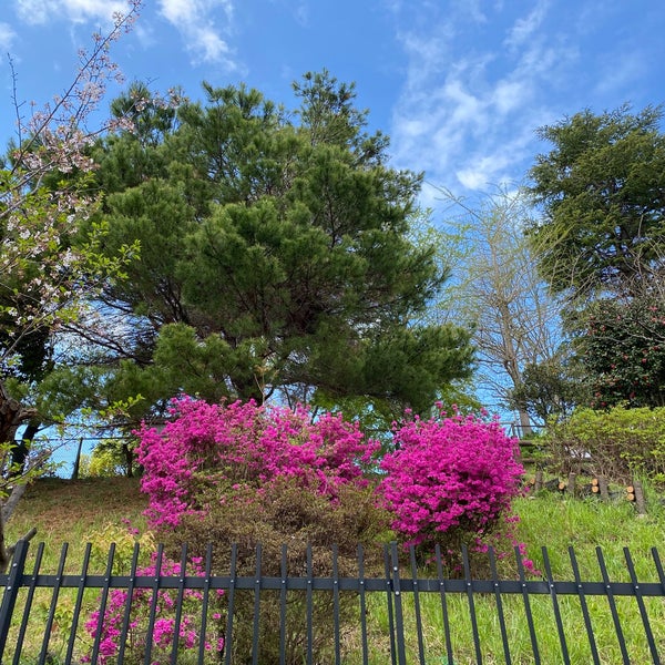 Photos At 川崎市立 南百合丘小学校 麻生区 3 Tips From 40 Visitors