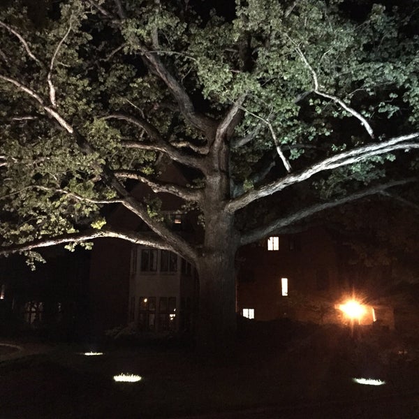 Edgeworth Bowling Club CamerynDevin