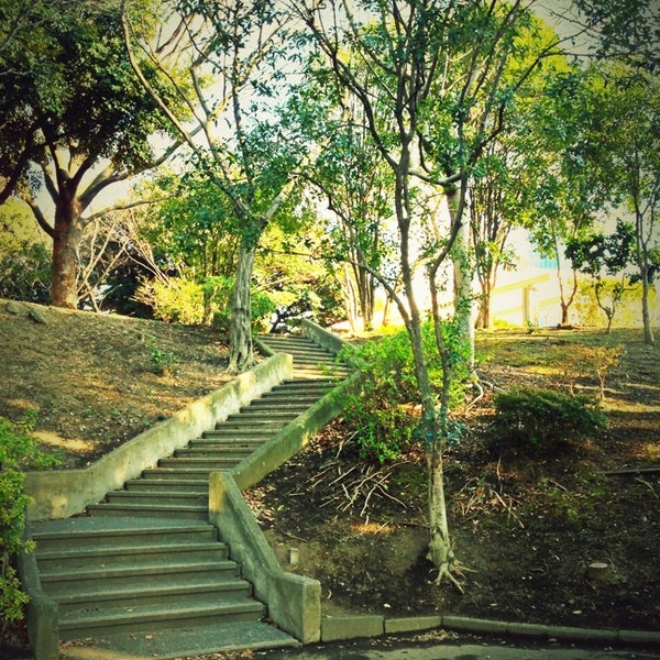 青山公園 南地区 六本木 4個のtips 青山公園 南地区 六本木 4個のtips