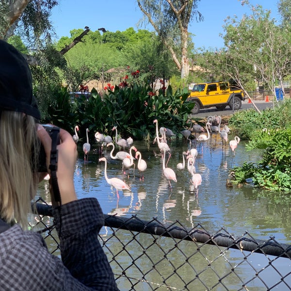 Photo taken at Phoenix Zoo by Ash P. on 5/18/2020
