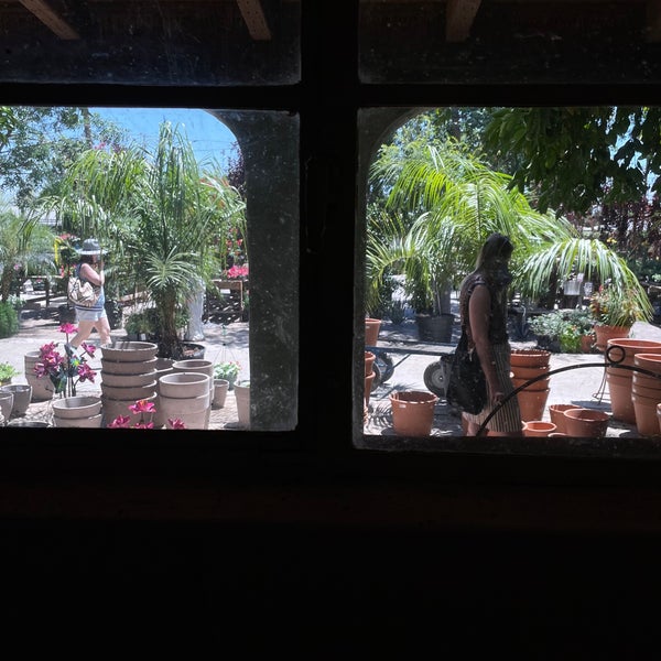 Whitfill Nursery Camelback East Phoenix, AZ