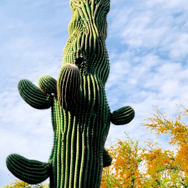 Carefree Sundial Carefree, AZ