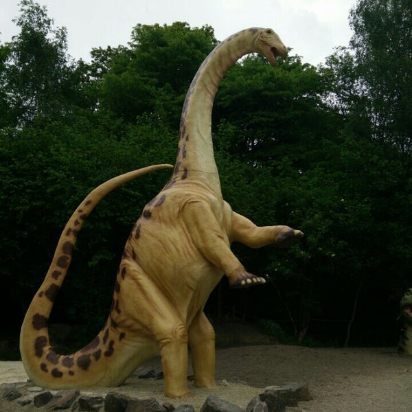 Foto diambil di Dinosaurierpark Teufelsschlucht oleh Markus L. pada 5/25/2016
