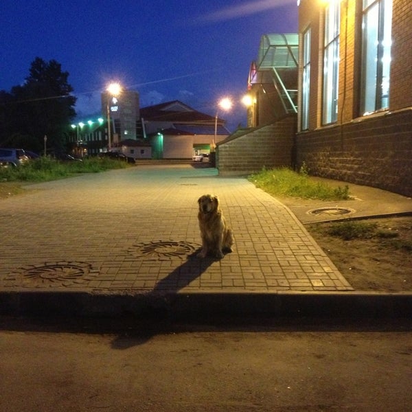 Сестрорецк парковка. Сестрорецк парковка. Сестрорецк парковка. Сестрорецк парк дубки на карте. Сестрорецк парковка.