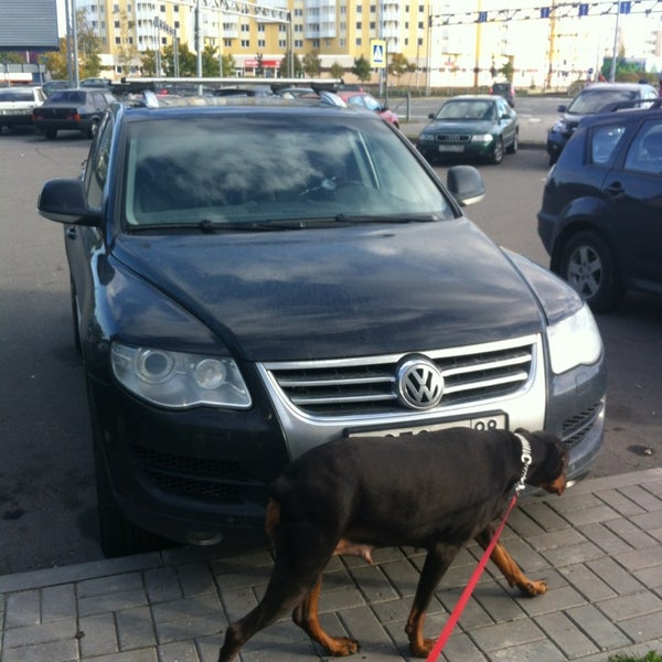 Сестрорецк парковка. Сестрорецк парковка. Пляж дубки парковка в сестрорецке. Сестрорецкий парк дубки. Сестрорецк парковка.