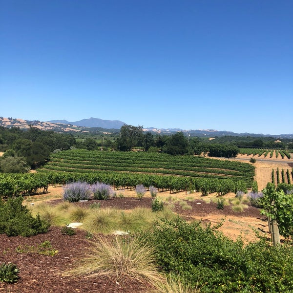 Foto tirada no(a) MacRostie Winery &amp; Vineyards por Iris em 6/23/2018