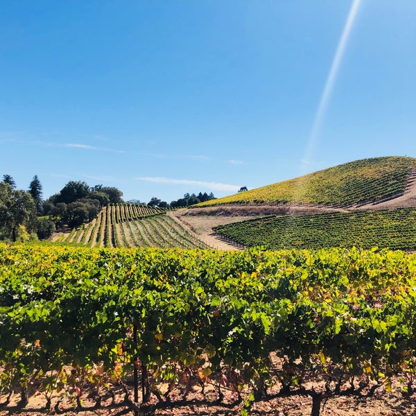 Foto tirada no(a) MacRostie Winery &amp; Vineyards por Iris em 9/23/2018