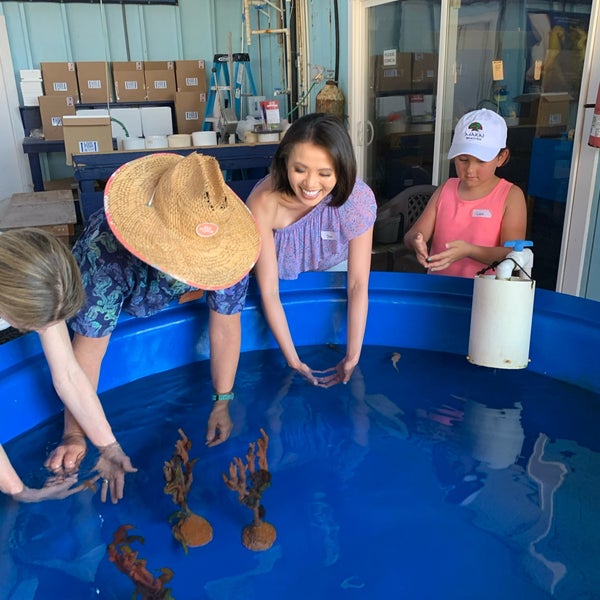 Ocean Rider Seahorse Farm 7 Tips From 336 Visitors