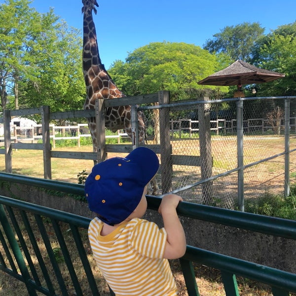 Foto tirada no(a) Henry Vilas Zoo por Corinne em 8/29/2020