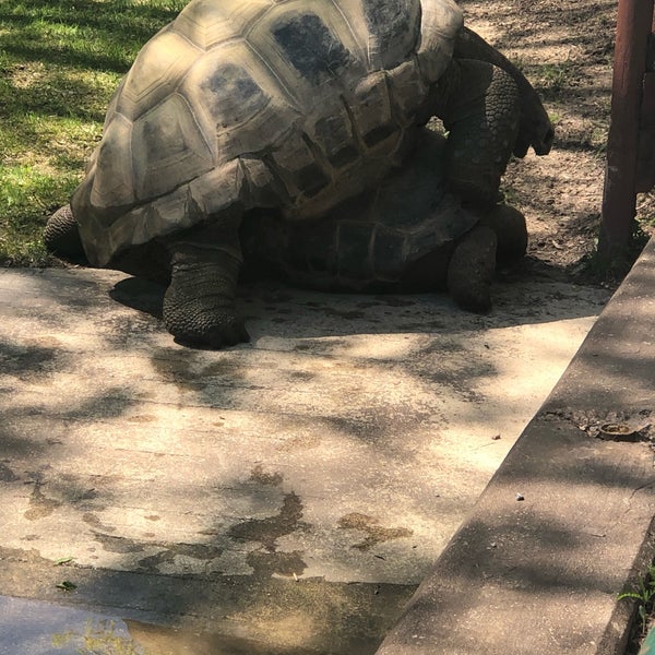 Das Foto wurde bei Henry Vilas Zoo von Corinne am 5/26/2019 aufgenommen