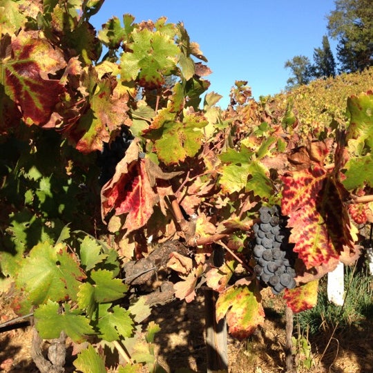 Photo taken at ACORN Winery by Aaron H. on 10/21/2012