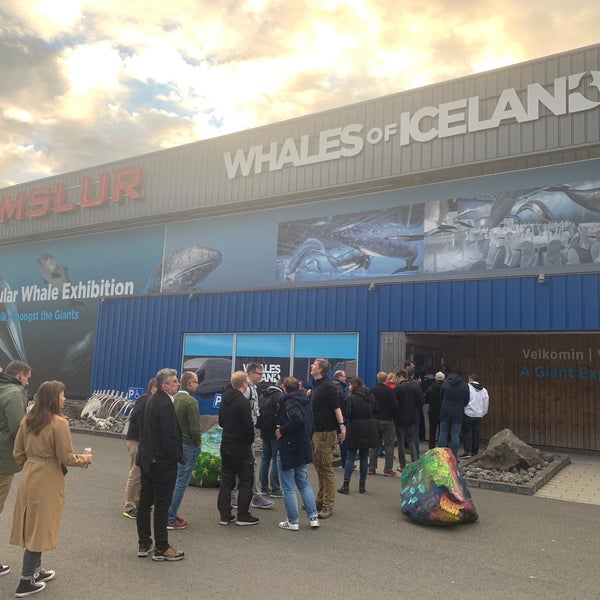5/21/2019 tarihinde Sander S.ziyaretçi tarafından Whales of Iceland'de çekilen fotoğraf