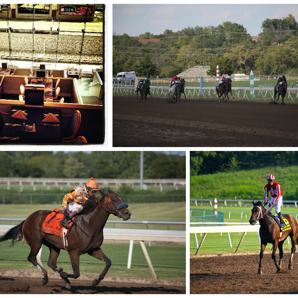 Tonight’s live racing begins at 7pm! Come enjoy the Thoroughbred Races! #LiveRacing #RemingtonPark #thoroughbred #horses