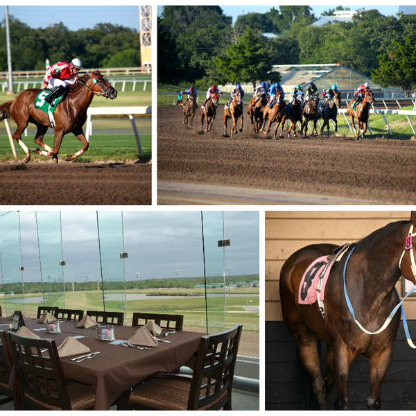 Make sure to come in for our Dashing Dinner Theatre! Dinner for two at $29.99 and the best seats for tonight's live racing! #datenight