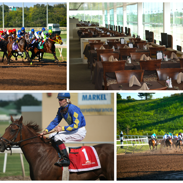 Tomorrow is the start of the live racing week! Are you ready? #getpumped #cantwait #OKC #Liveracing #thoroughbred #horses