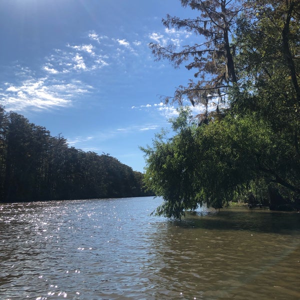 Cajun Encounters Honey Island Swamp Tour Slidell, LA