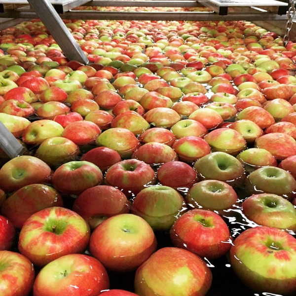 Foto scattata a Lyman Orchards Apple Barrel Market da Ryan W. il 9/24/2015