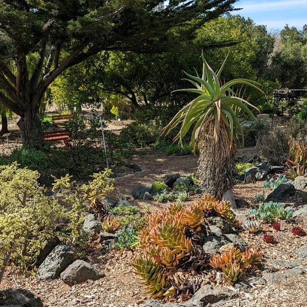 Foto tomada en San Luis Obispo Botanical Garden  por Nicco el 2/27/2022