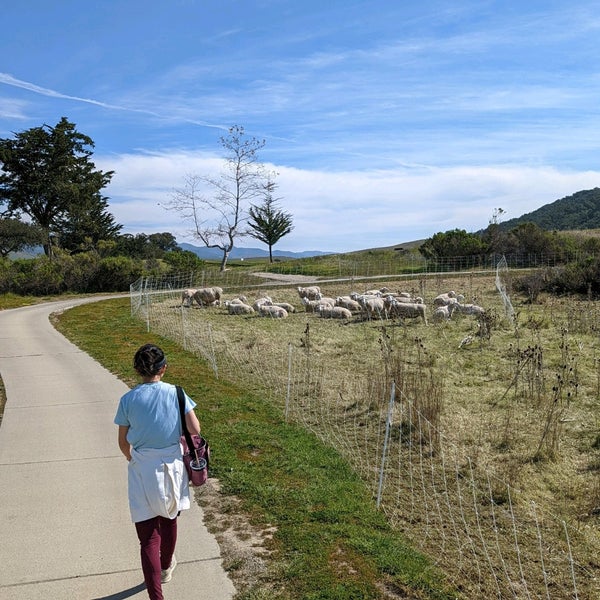 Dairy Creek Golf Course San Luis Obispo, CA
