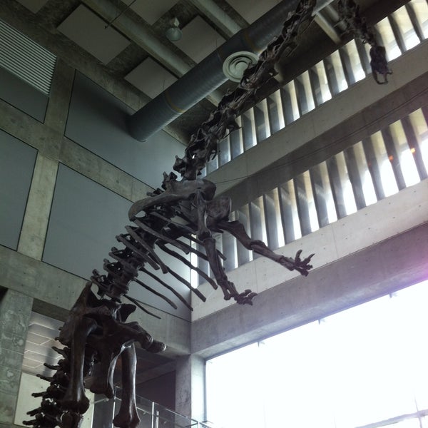 6/4/2013にShuanaがMuseum of Science &amp; Industry (MOSI)で撮った写真