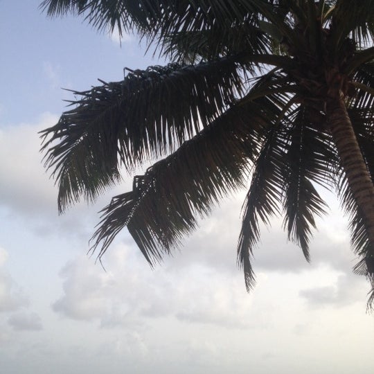 6/13/2014 tarihinde Laura R.ziyaretçi tarafından Coconut Court Beach Hotel'de çekilen fotoğraf