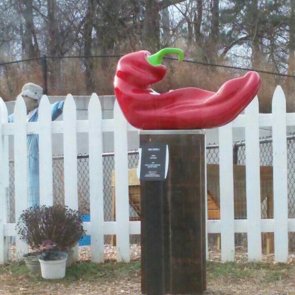 1/24/2016 tarihinde Angelaziyaretçi tarafından Robinson Nature Center'de çekilen fotoğraf