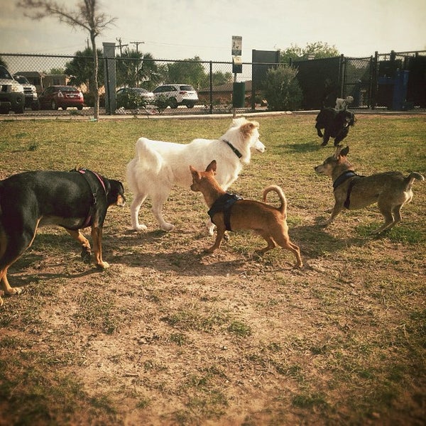 McAllen Dog Park 11 tips from 214 visitors