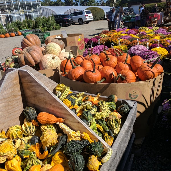 Photo taken at DePiero&#39;s Farm Stand and Greenhouses by regina .. on 10/1/2017