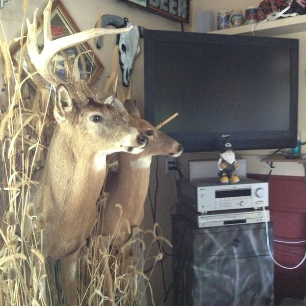 Duct Tape Lodge Other Great Outdoors in Coon Valley