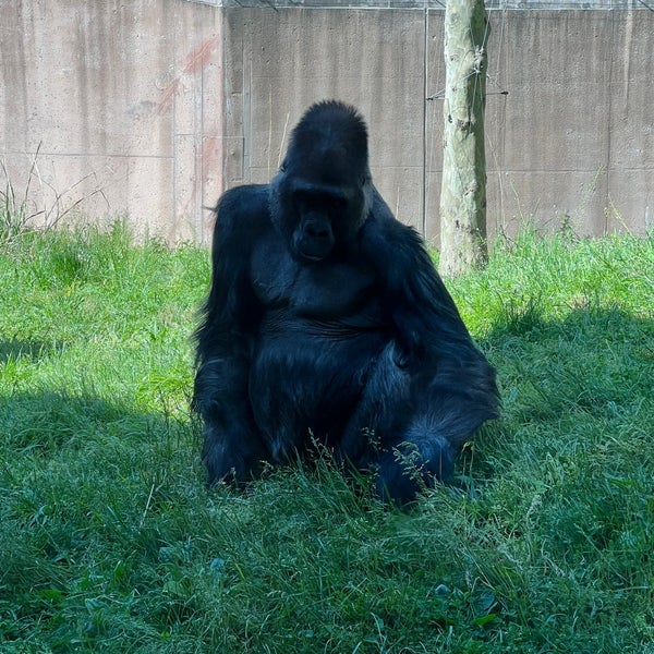 Foto tomada en Philadelphia Zoo  por Bryan S. el 5/6/2023