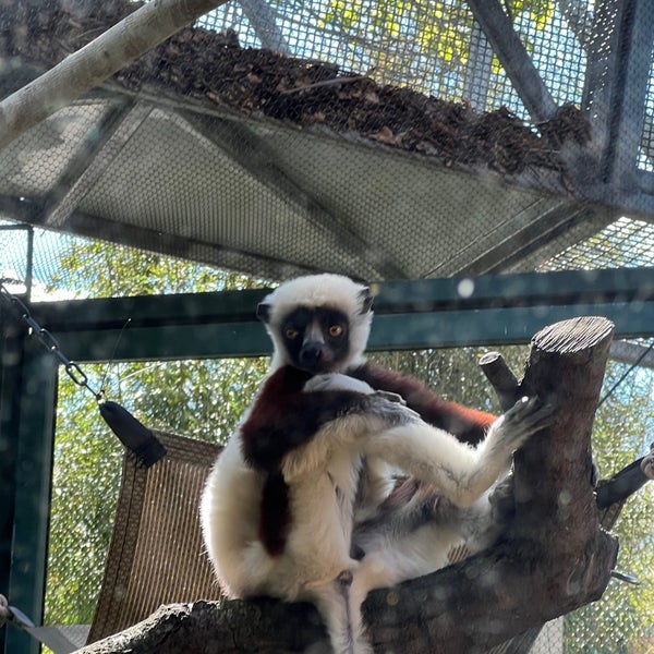 Снимок сделан в Philadelphia Zoo пользователем Bryan S. 5/6/2023