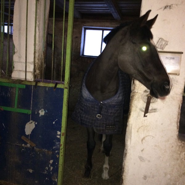 Конно спортивная школа новочебоксарск